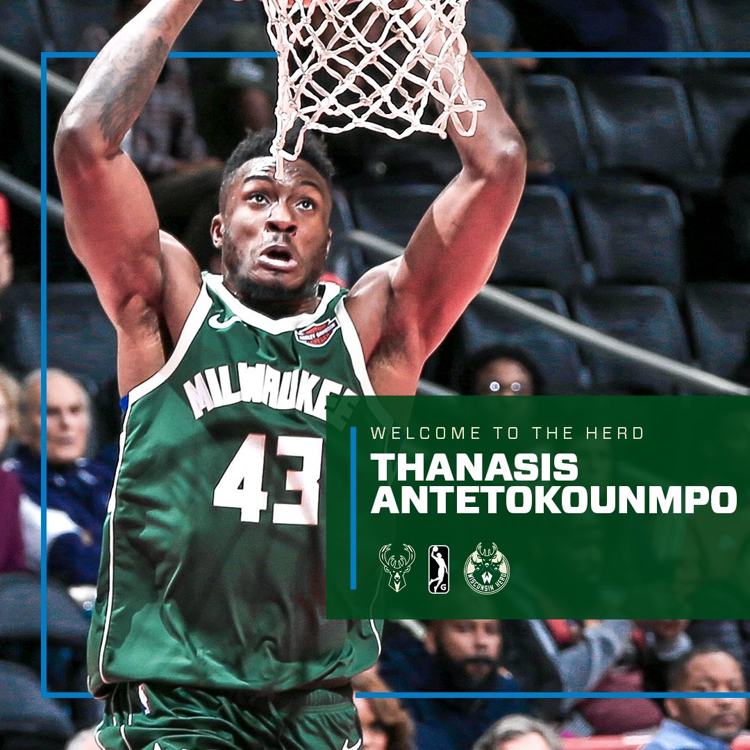 升护框与篮 升护框与篮